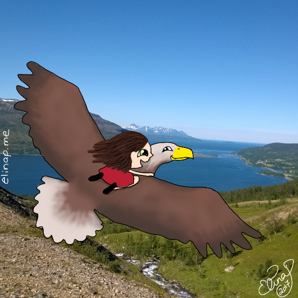 Guest Blog: Flight with Eagle
