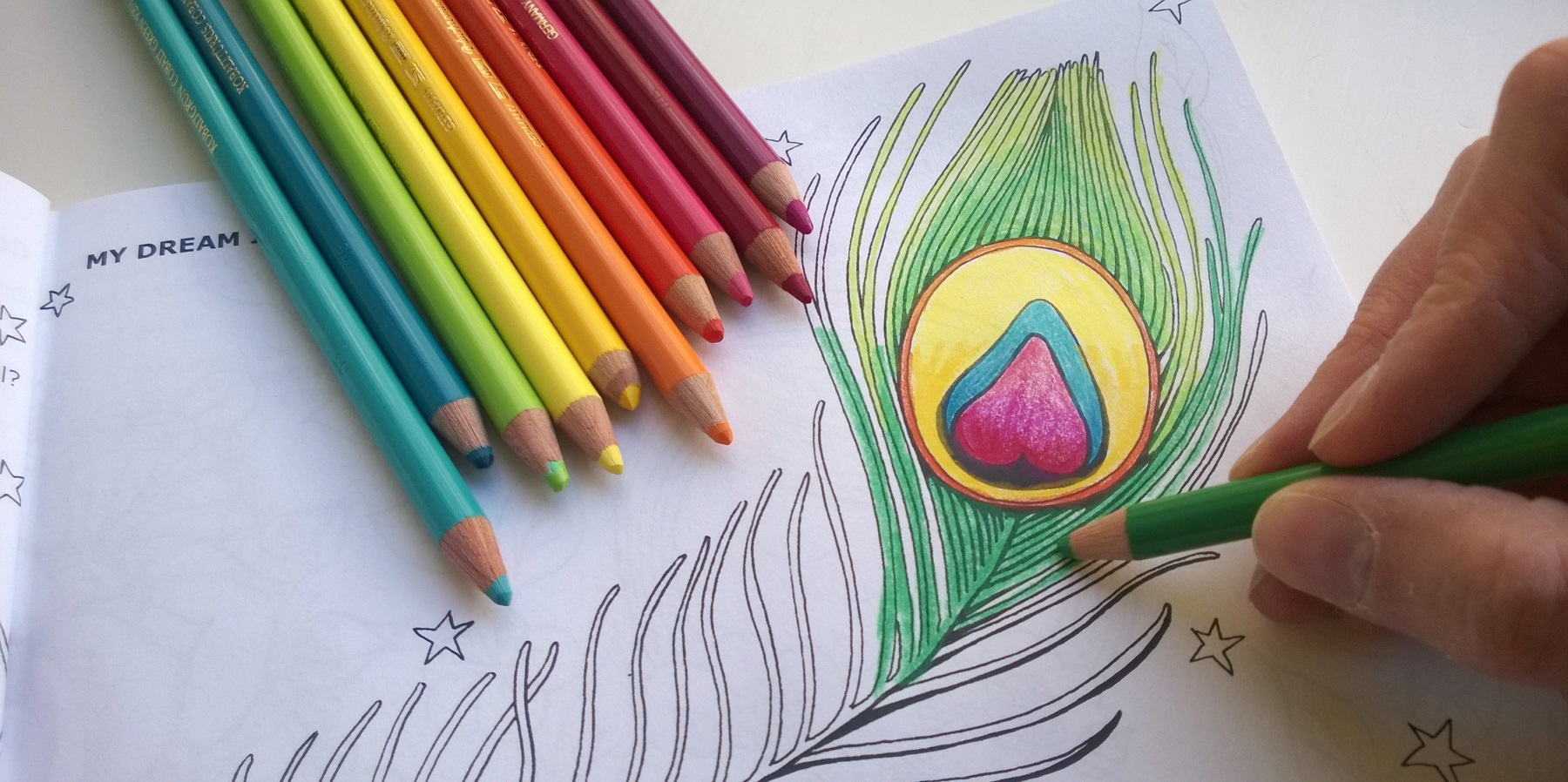 Color Your Dreams True Color Your Dreams True